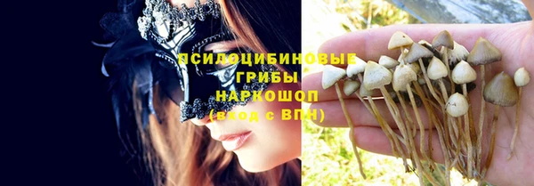 МДПВ Волосово