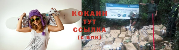 ешки Володарск
