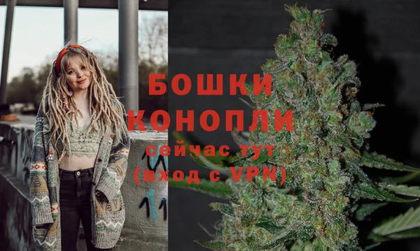 ешки Володарск
