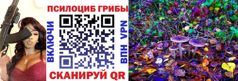 Галлюциногенные грибы GOLDEN TEACHER  omg как зайти  Приволжский  наркошоп 